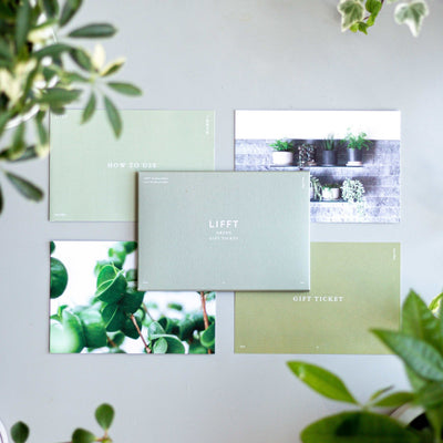 LIFFT Green Gift Ticket Normal